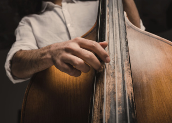 Upright bass player