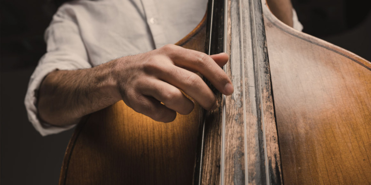 Upright bass player